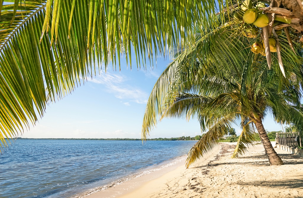vacanta Caraibe