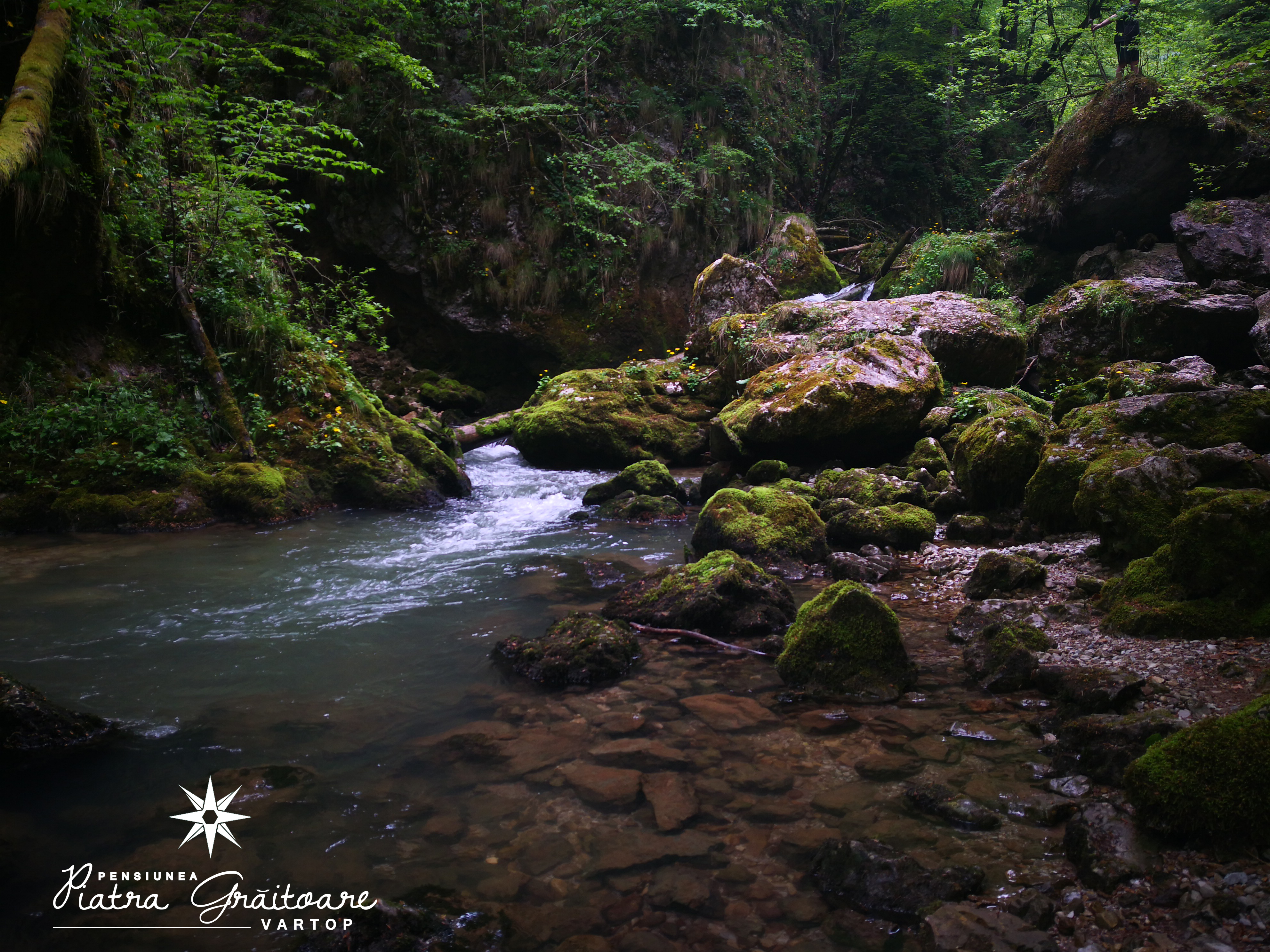 Cheile Galbenei Apuseni
