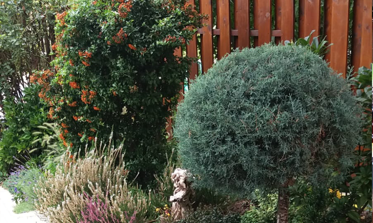 viata unei gradini amenajate