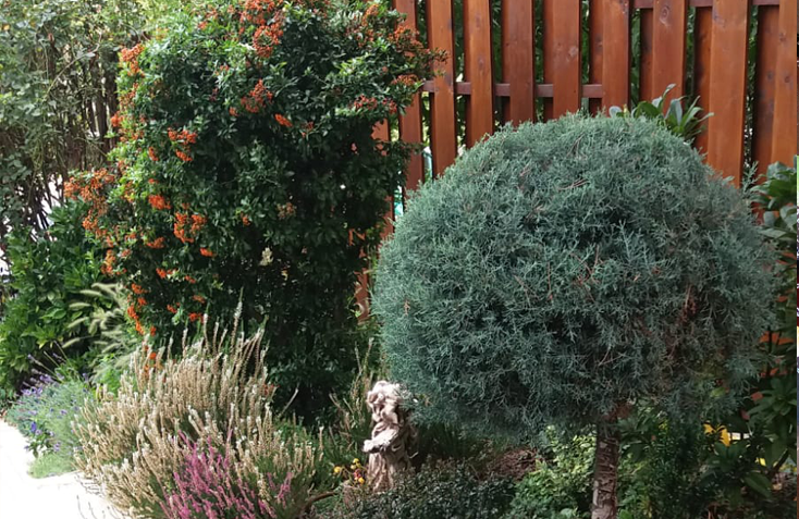 viata unei gradini amenajate